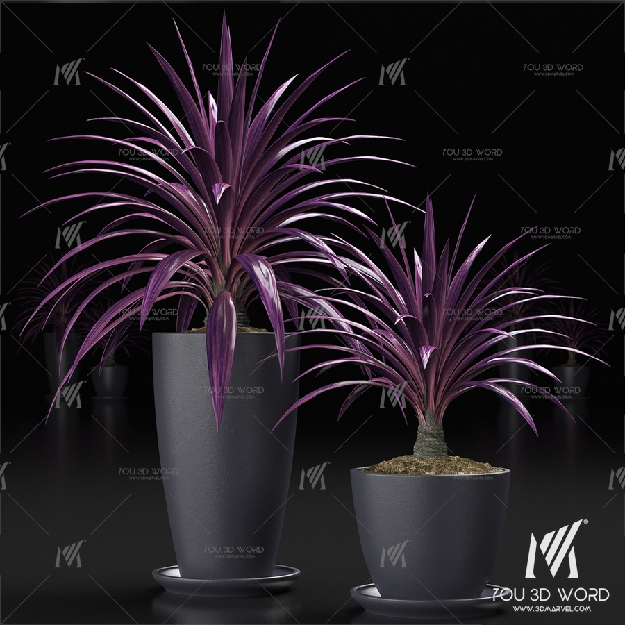 PLANTS_16